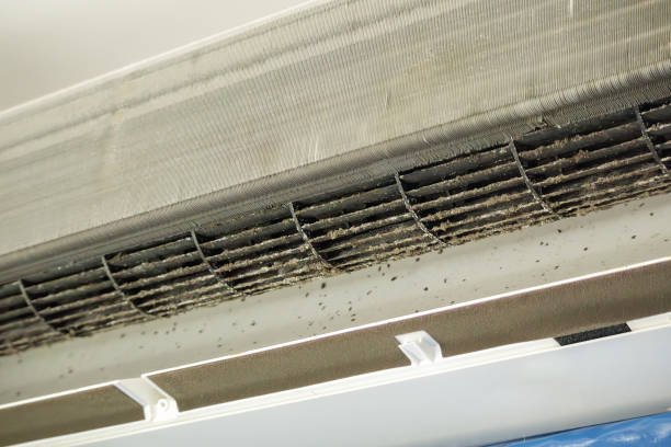 Best Residential Air Duct Cleaning  in Lake Stevens, WA